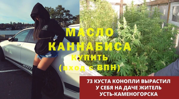 метадон Алексин