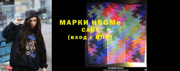 метадон Алексин