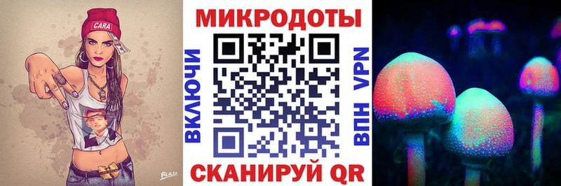 магазин продажи Ардон Галлюциногенные грибы прущие грибы